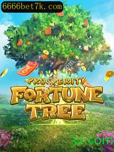 Explorando o Fascinante Mundo de ProsperityFortuneTree e 6666bet.com